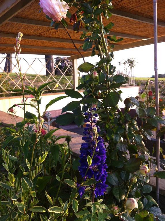 Azienda Agrituristica Bellavista Βίλα Montespertoli Εξωτερικό φωτογραφία