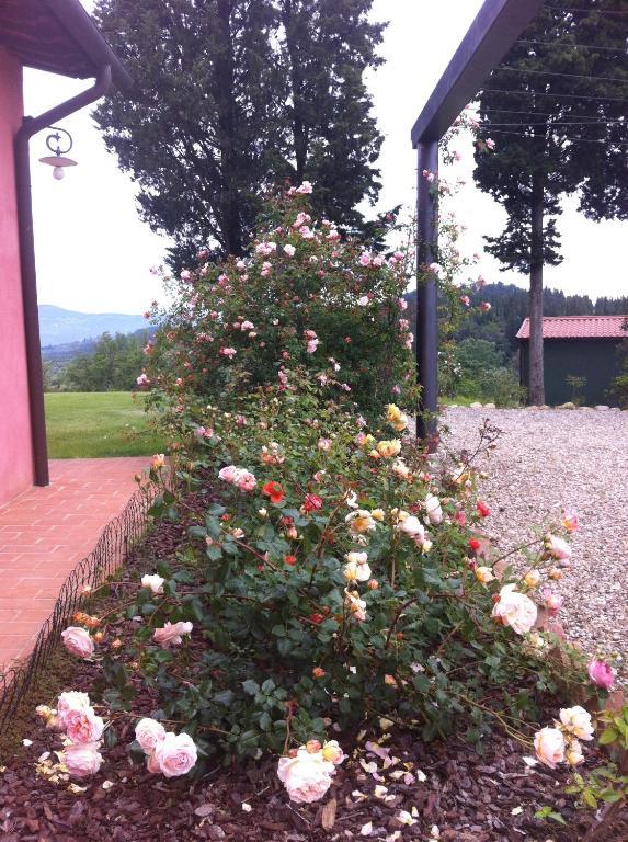 Azienda Agrituristica Bellavista Βίλα Montespertoli Εξωτερικό φωτογραφία