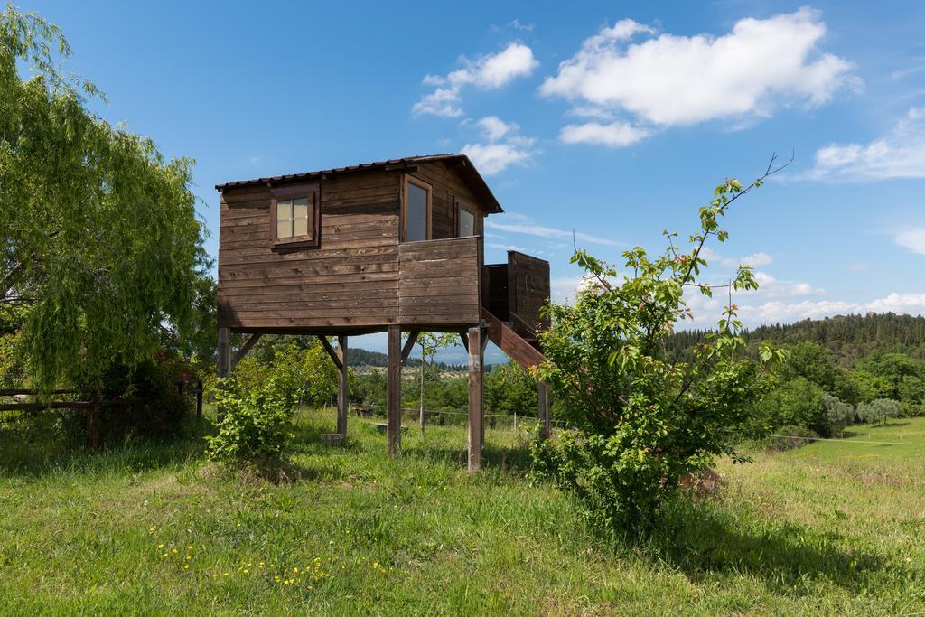 Azienda Agrituristica Bellavista Βίλα Montespertoli Εξωτερικό φωτογραφία