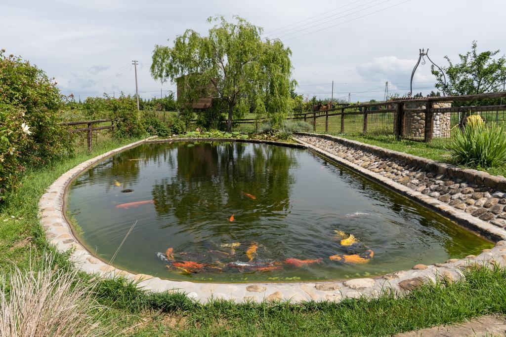Azienda Agrituristica Bellavista Βίλα Montespertoli Εξωτερικό φωτογραφία